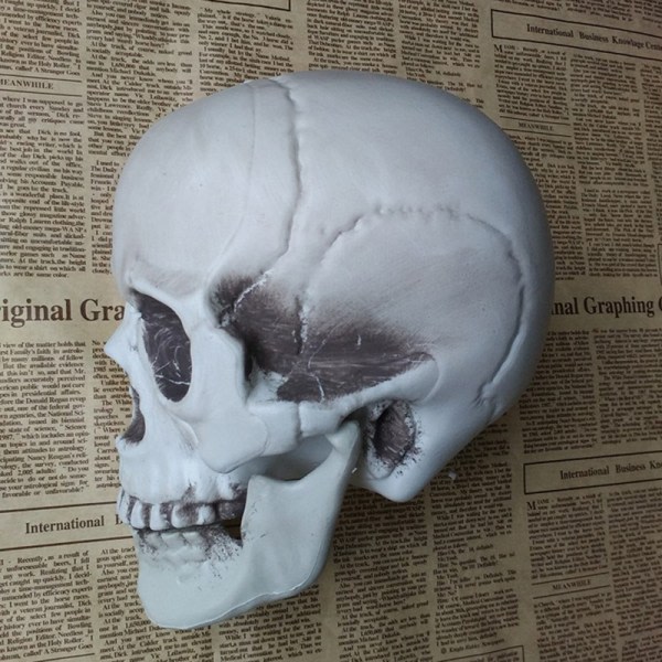 Halloween kunstig hodeskalle Modell Skull Bone Skrekk Skelett Hvit 1 9*10*13.5cm White 1 9*10*13.5cm