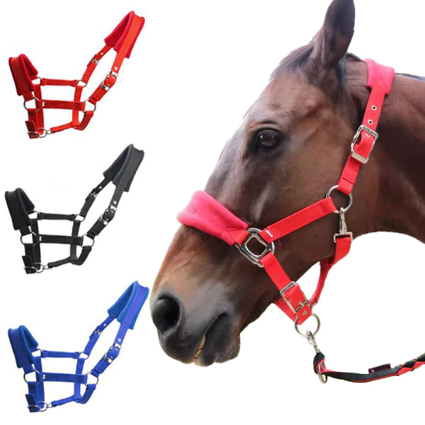 Polstret Pony Headstall Head Collar Heste Ride Sort M