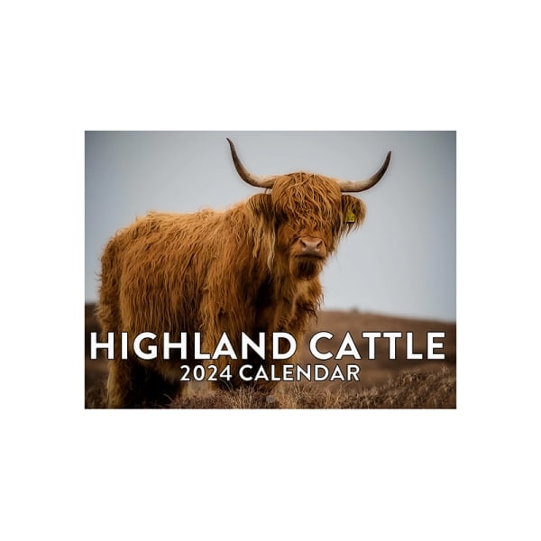 Highland Cow-kalender 2024 Månadsväggkalender 12 månader Rolig