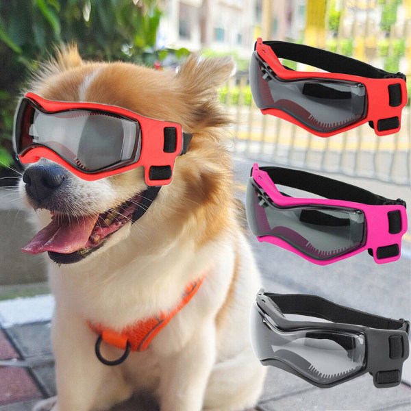 Pet Dog Goggles Briller Sne Vindtætte UV-beskyttelsessolbriller til lille hund Red