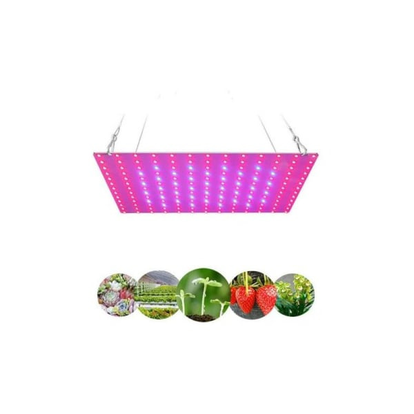 Fullspektrum LED-lampa för inomhusbruk, hängande, bar panel, växt (45W-169 lampor (EU-reglerad))