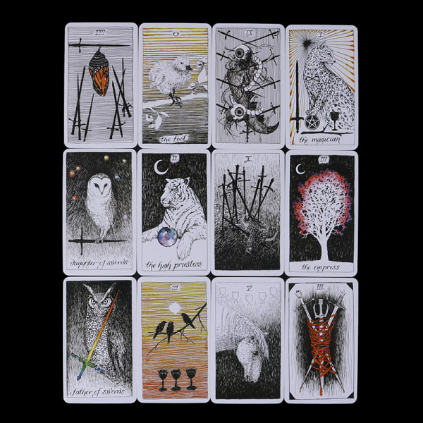 78st the Wild Unknown Tarot Deck Rider-Waite Oracle Set Fortun Multicolor one size Multicolor one size