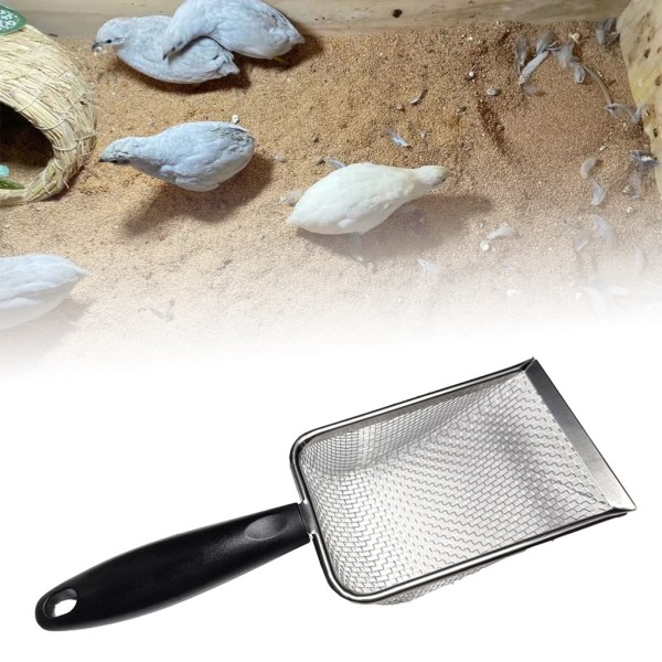 Reptilsandsspade i rostfritt stål, reptilskyffel med nät