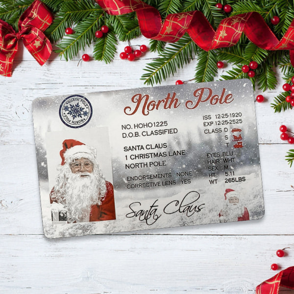 Jultomtens körkort A4 one size