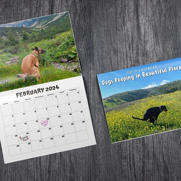 2024 e Rolig hund som bajsar på vackra platser Väggkalender Uniq A3 one size A3 one size