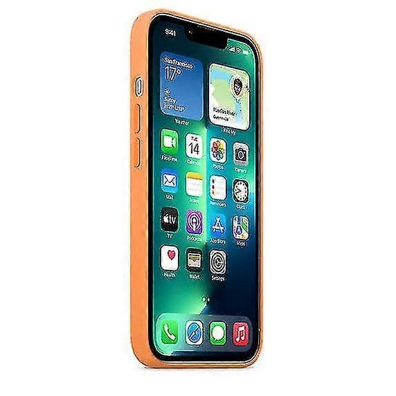 Silikoneetui med Magsafe til iPhone 13 Pro Marigold