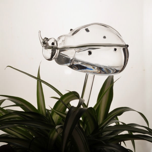 Automatisk självbevattningsanordning Glassprinkler Trädgårdsblomma C Beetle one size Beetle one size