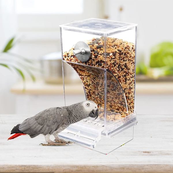 Fuglefoderautomat, Akrylvinduesfuglefoderautomat, Semi-lukket udendørs fuglefoderautomat, Automatisk fuglefoderautomat med stor kapacitet med siddepind til parakit transparent
