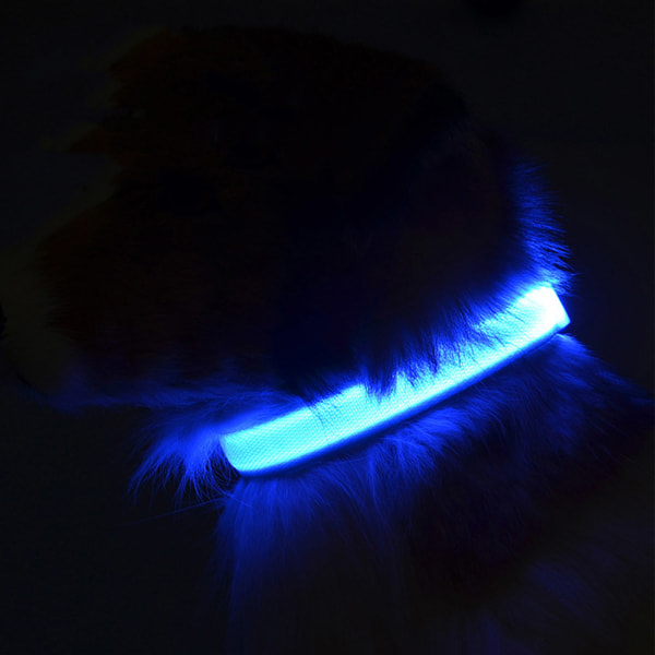 Justerbart LED-halsband för hund Bekväm att bära för promenader och löpning på natten Lätt att använda säkerhetsljushalsband Röd S