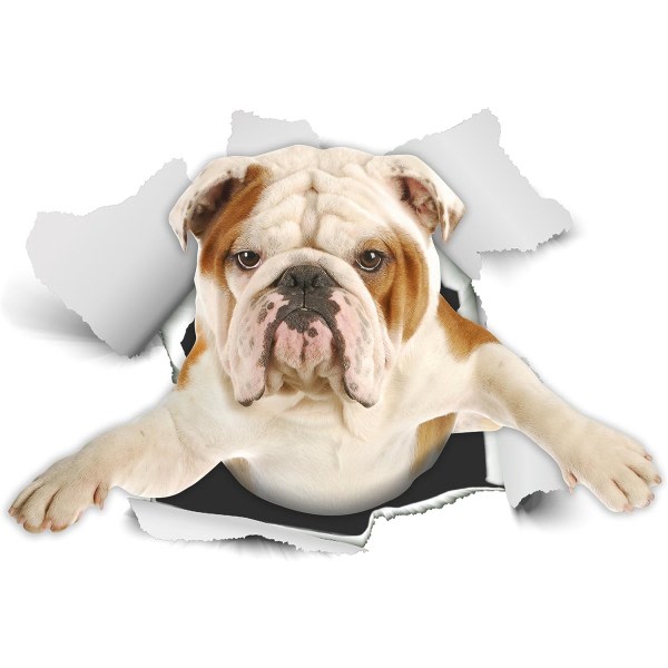 3D Dog Stickers - British Bulldog Stickers for vegg, kjøleskap, toalett og mer - R
