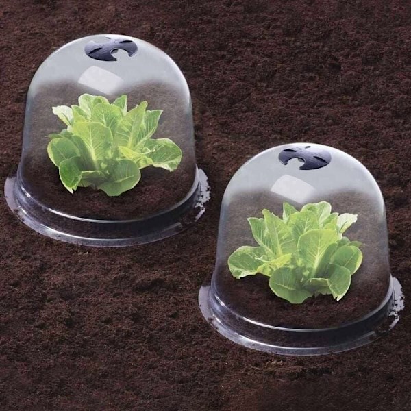 Plast Salladskupoler - Set om 6