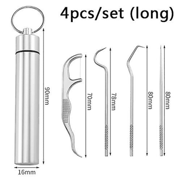 Set i rostfritt stål Tandtråd Återanvändbara tandpetare Bärbar tandpetare Tandrengöringsmedel