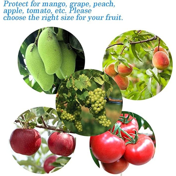100st Druvbeskyddspåse Grapefrukt Organzapåse-20*30cm-Röd