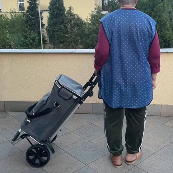Indkøbsvogn Sammenklappelig med Taske – 40L