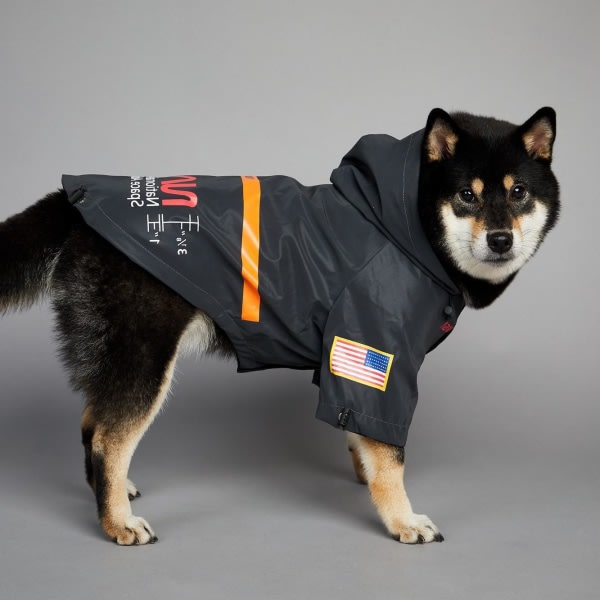 Husdjurshund höstkläder vindtät och regntät NASA reflekterande rymdkläder stor hund regnjacka husdjursjacka svart M