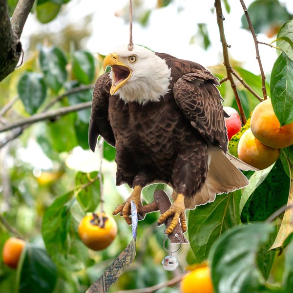 Pikakuivaava Pieni Kissankissan Auton Korjaus Korjauspoistaja Veneet Lasikuitu Korjaus Tahna Punainen