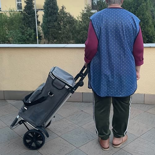 Shopping Cart Foldable with Bag – 40L 3650