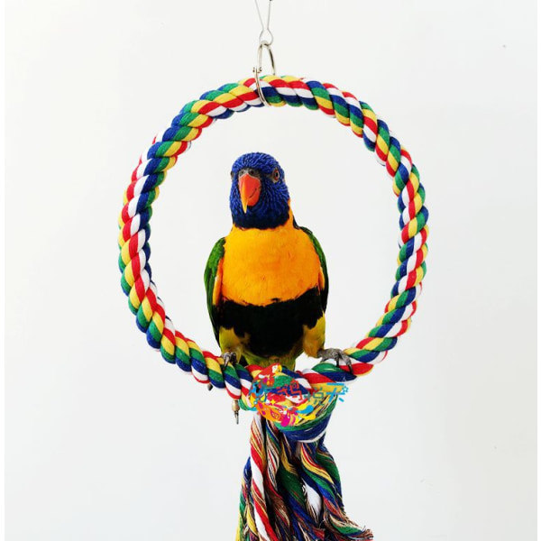 Fågelrepsgunga Färgglad abborre klätterleksak för papegojor Budgie Cockatiel Cockatoo Conure - M