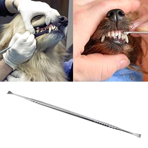 Dental Tartar Plaque Remover for Scaler Pet Dog Dental Scraper Teeth Cle 1