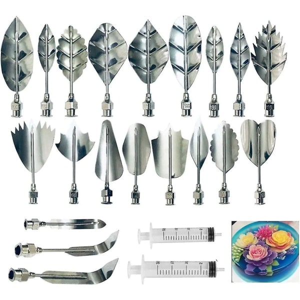 Gelatin Jelly Art Starter Kit, 3D-Dekorationsverktyg för Blomkakor, Set med 20 delar Gör-Det-Själv-Nålspetsar Bakverktyg