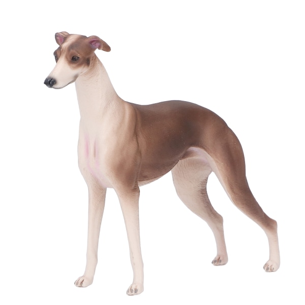 Realistisk Greyhound-figur Kjæledyr Vitenskap Utdanning Kognisjon Valpemodell for 3 år og eldre