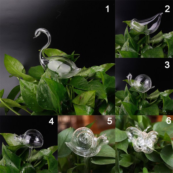 11 Typer Glass Blomster Vannmater Automatisk Selvvanning De Transparent 10 Transparent 10