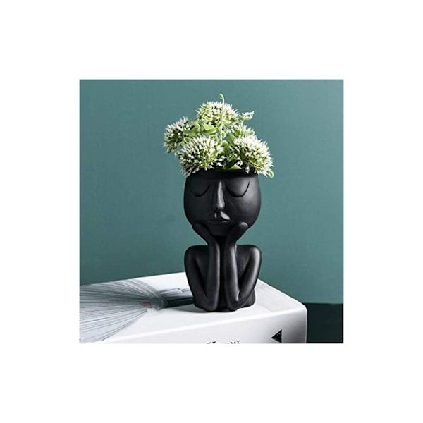 Kreativ Nordisk Karaktärsformad Vas, Suckulenter, Abstrakt Blomkruka, Ansikte och Blommor, Inomhus, Svart Vas