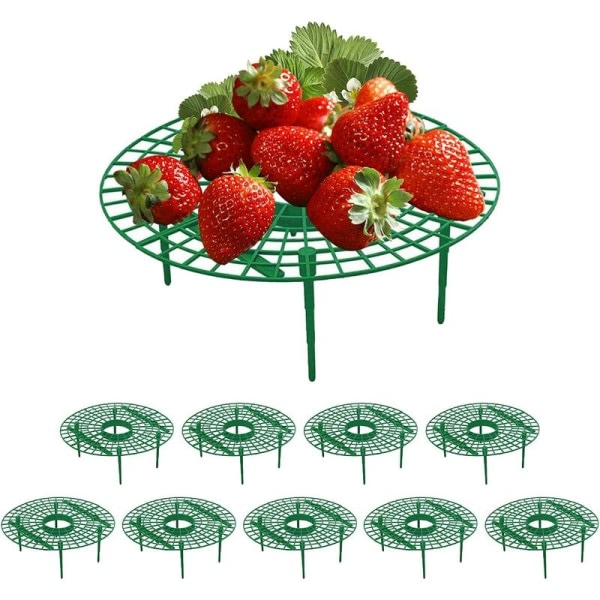 Avtagbare jordgubbsholdere i plast til jordgubbsplantor， 10-pak