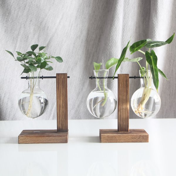 Hydroponiska växtvaser Vintage Blomkruka Transparent Vas Träram Glas Retro C