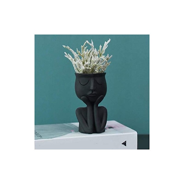 Kreativ Nordisk Karaktärsformad Vas, Suckulenter, Abstrakt Blomkruka, Ansikte och Blommor, Inomhus, Svart Vas