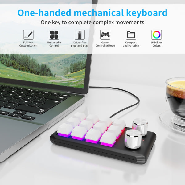 RGB Programmerbar Makro-tangentbord 12 Tangenter Plug-Play Mini-tangentbord för Enhands-spel Svart