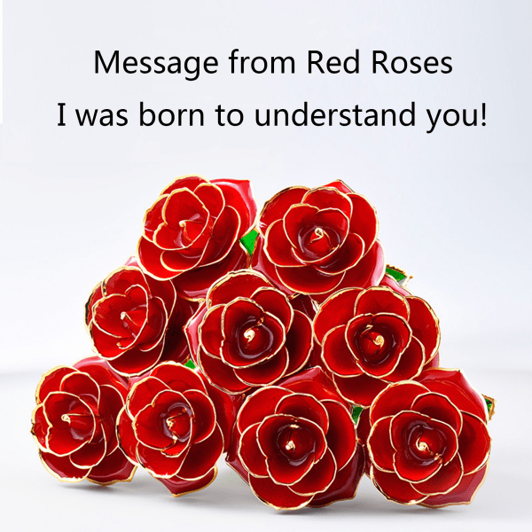 24K förgylld gulddoppad ros Torkad blomma Kit med presentförpackning och Dispaly Stand Rose red