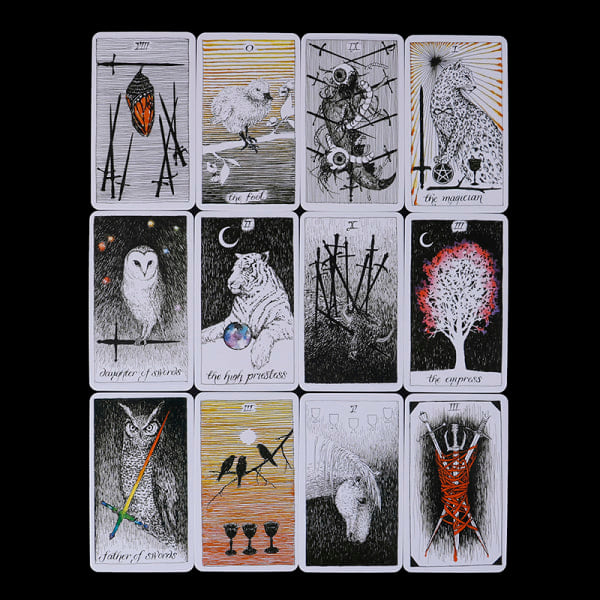 78st the Wild Unknown Tarot Deck Rider-Waite Oracle Set Fortun Multicolor one size Multicolor one size