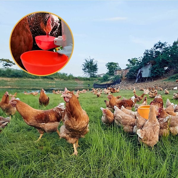 DIY 8 osaa Siipikarjan Juomakuppi Sarja Kana Ankka Hanhi Automaattinen Juomakuppi Uuden Tyypin Siipikarjan Juoma-allas