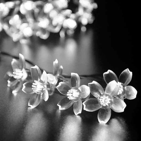 Udendørs Solcelle-Lysstreng 50 LED Kirsebærblomst