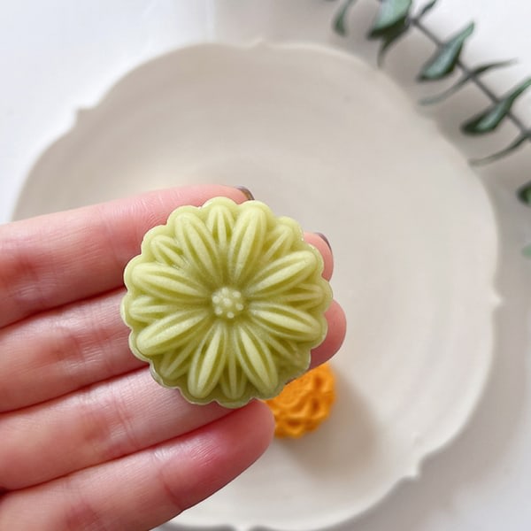 1. 20g Plastform Form Månkakor Formar DIY-bakning