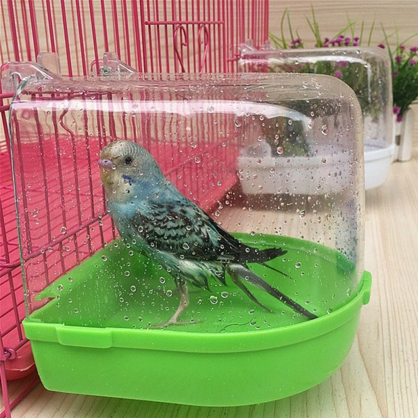 Chinchilla kylpyamme hamster kani lintu lintu