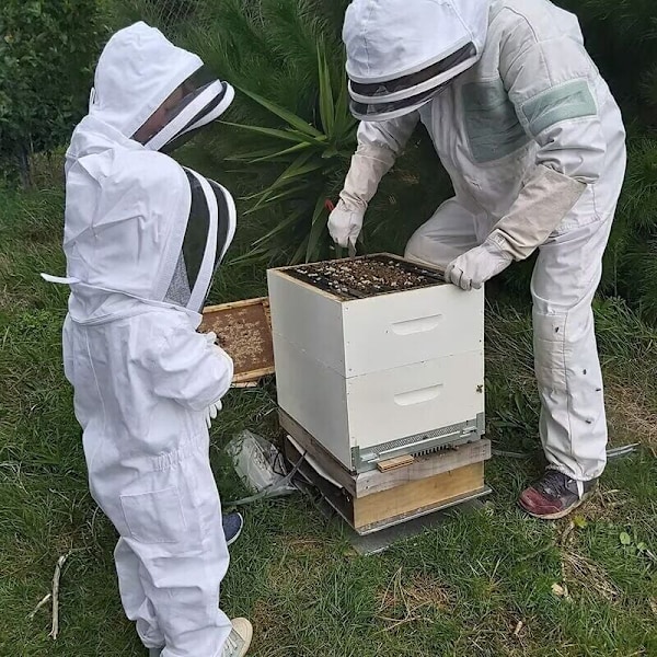 Biodlingskläder med handskar, biodlingsdräkt för barn - Långärmad bomull, barnskydd, biodlingstillbehör (M, Vit).