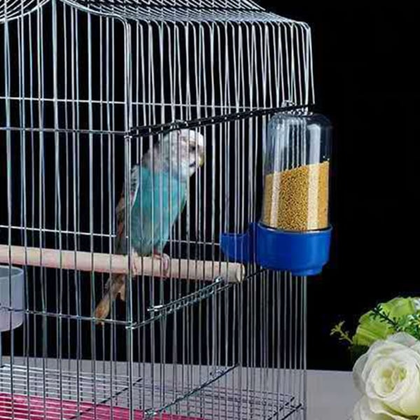 Pack Parrot Feeder Parakeet Vatten Dispenser Ingen Röra Automatisk Fågelmatning Tillbehör för Cockatiel 100ml 60ml S