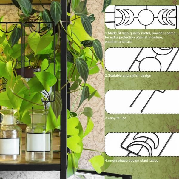 CDQ Pakke med 2 36 x 10 cm Metal Plant Net, Spalier til Potteplanter med 20 Remme (Sort)