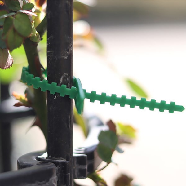 50/100 st Återanvändbara plaststödklämmor klämmor s Hanging Vine 100pcs