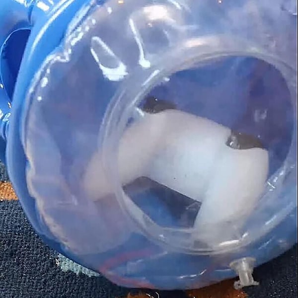 360° Rage Quit Protector, Transparent Uppblåsbart Spelkontrollskydd för Enhetsskydd