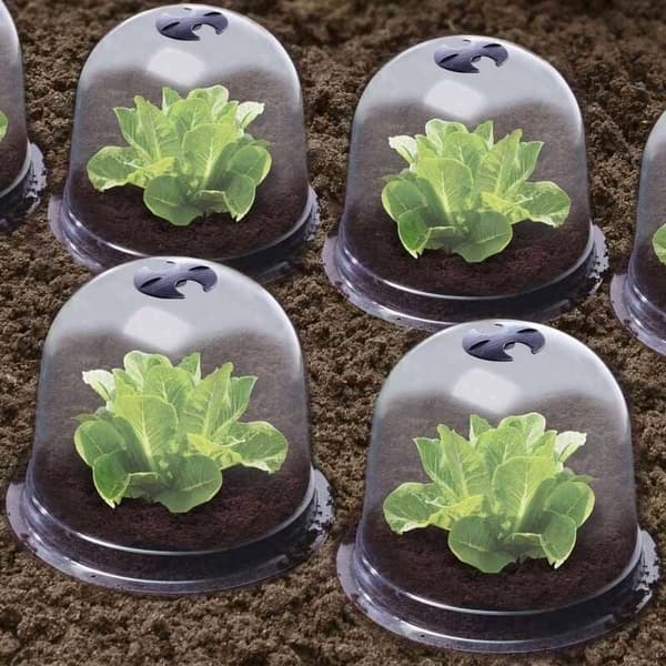 Plast Salladskupoler - Set om 6