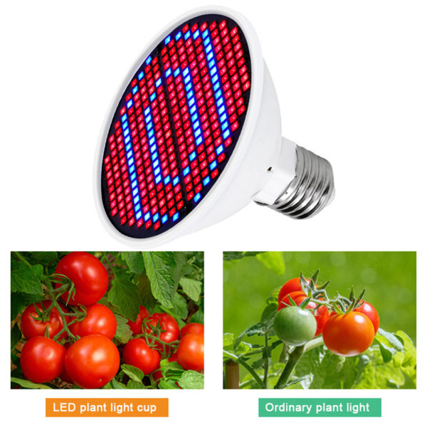 LED Hydroponisk Vekstlys Led Grow Pære MR16 80LED