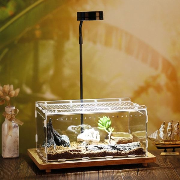 Akryl Reptil Terrarium Insekter Tarantuler Indhegn Tanke Snegl Edderkop Habitat