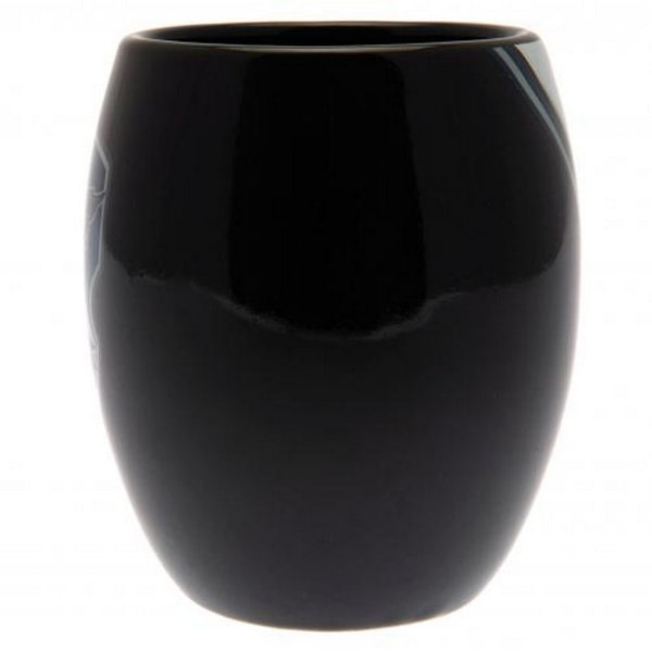 Harry Potter Ravenclaw Mugg One Size Svart Svart One Size