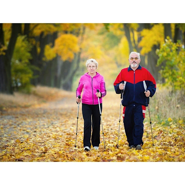 Walking Pole / Hiking Pole - Adjustable Height Red Röd