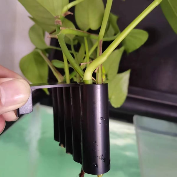 Akvariekurv Akvariedekorationer Med Integreret S