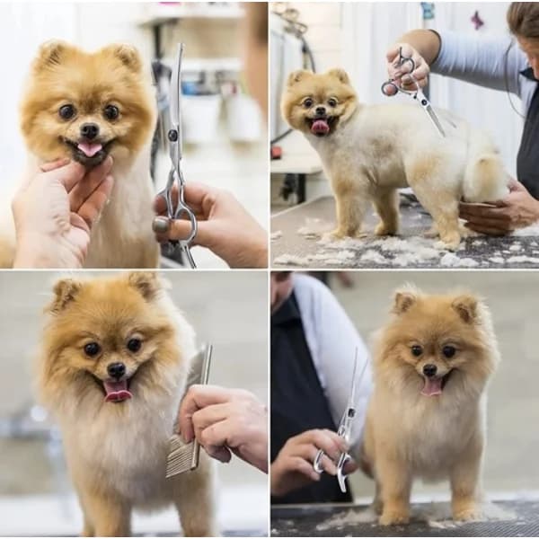 Koiranleikkaussarja - Sakset koirille