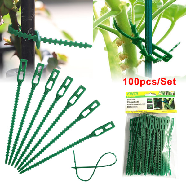 50/100 st Återanvändbara plaststödklämmor klämmor s Hanging Vine 100pcs